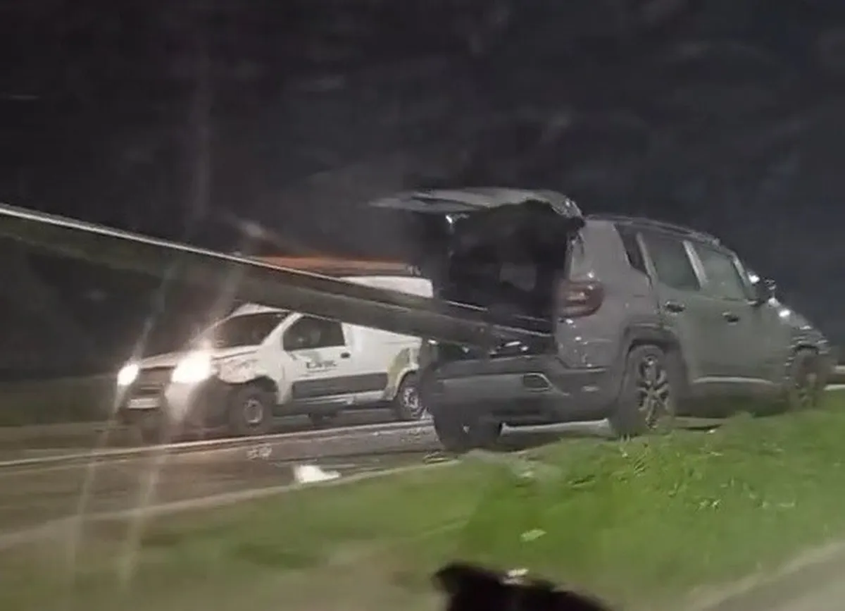 El auto atraves&oacute; la barrera de contenci&oacute;n.&nbsp;