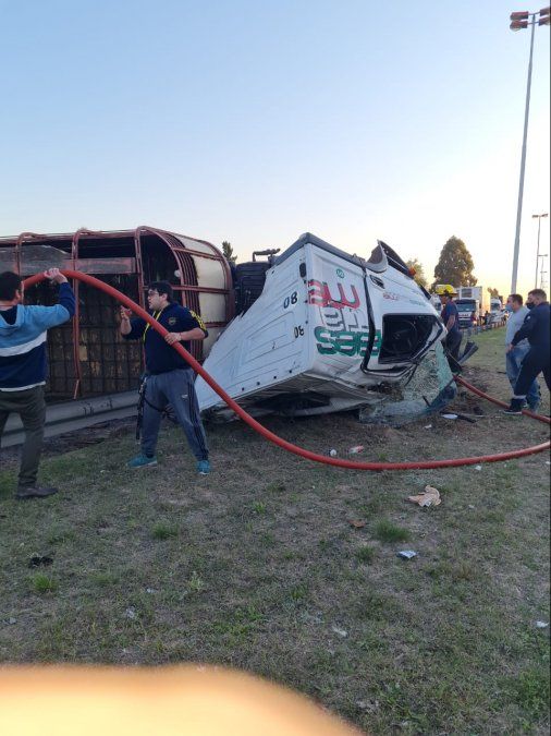 Ezeiza: Vuelco de un camión de ganado deja 2 heridos