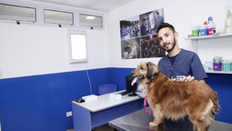 lomas de zamora: entregaran turnos para una nueva jornada de castraciones gratuitas en temperley