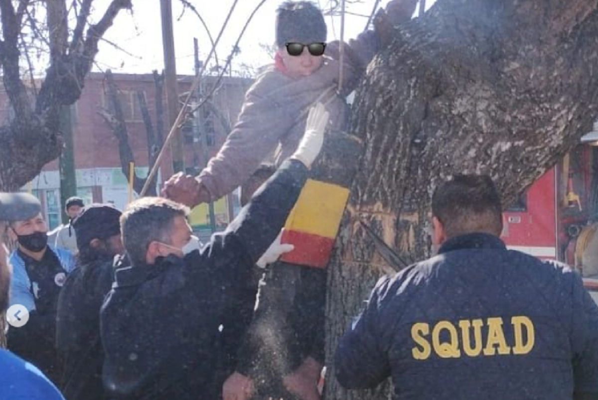 Bomberos rescataron a un nene atrapado en un árbol en Longchamps