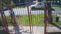 denuncian en lomas a un conductor por atropellar y matar a una perra: video