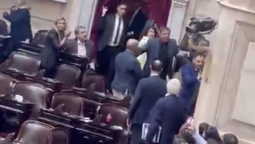 sesion escandalosa en la camara de diputados: dos legisladores terminaron a las pinas