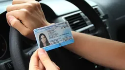 el gobierno lanzo un plan para digitalizar y reorganizar el sistema registral automotor