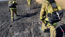 se quemaron 200 hectareas en san vicente en tres grandes incendios