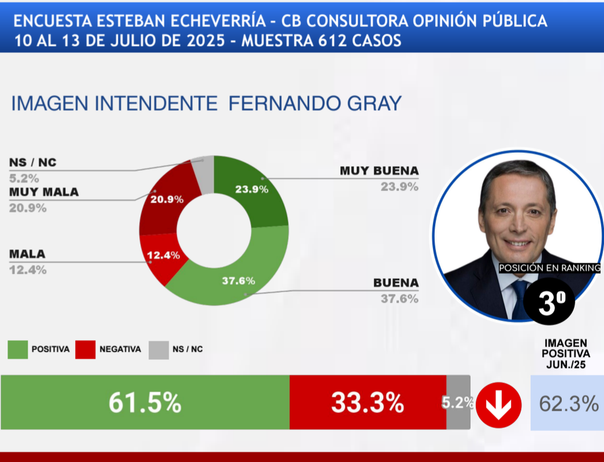El detalle de la imagen del intendente Fernando Gray.