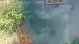 incendio en el limite de lomas y brown: trabajaron dotaciones de ambos distritos