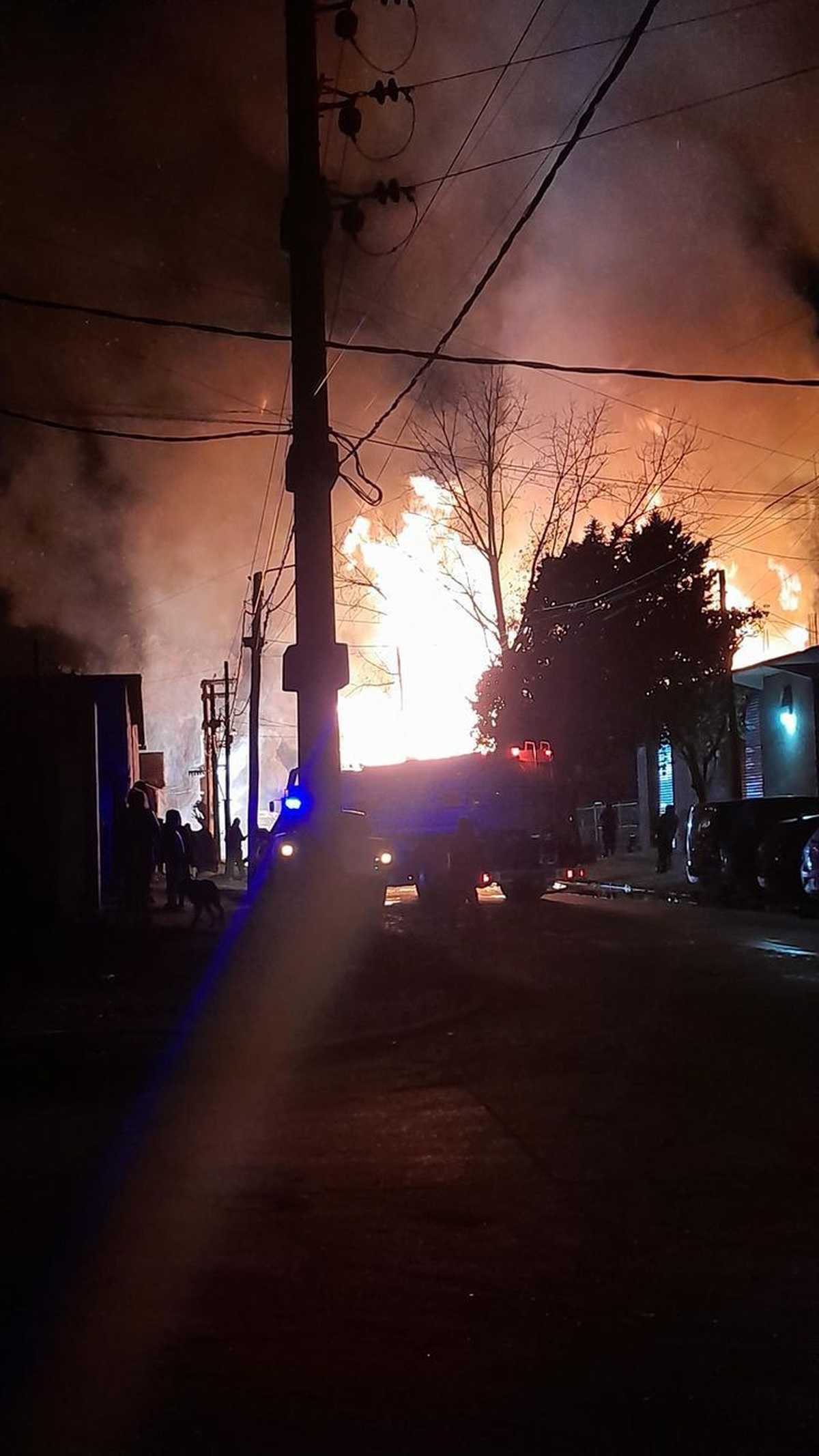 Un depósito de pallets de Luis Guillón fue consumido por las llamas.