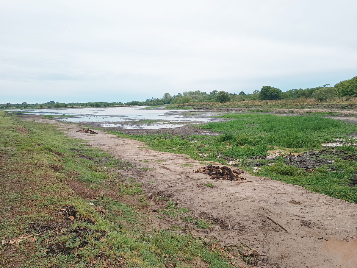 As&iacute; estaba la laguna este viernes despu&eacute;s de la lluvia: ser&aacute; necesario que se acumule agua durante meses para que vuelva a su nivel.&nbsp;&nbsp;