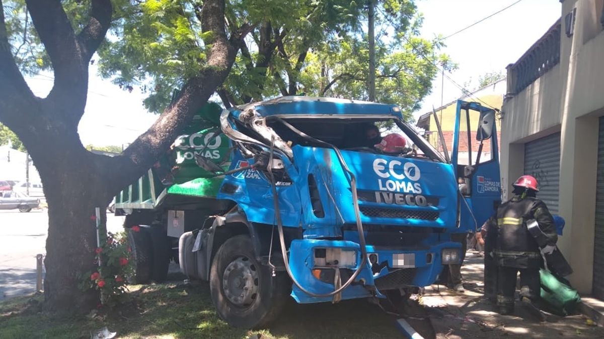 El camión de Eco Lomas impactó contra un árbol.