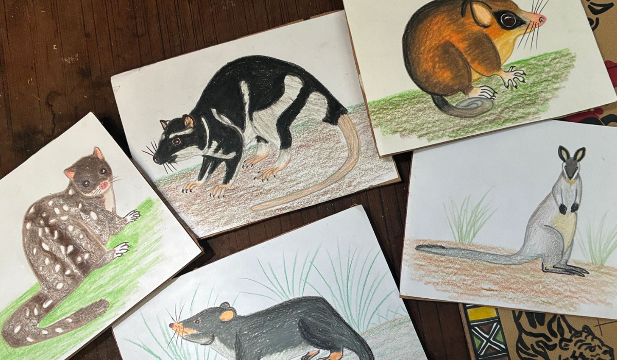 Algunas de las ilustraciones de la gu&iacute;a de campo. Todas fueron hechas por Dami&aacute;n.