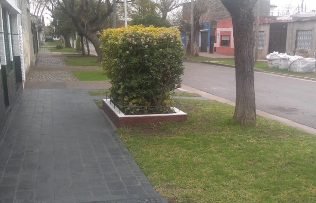 Imagen de la calle Palma, Remedios de Escalada, Lanús, donde envenenaron perros y gatos. 