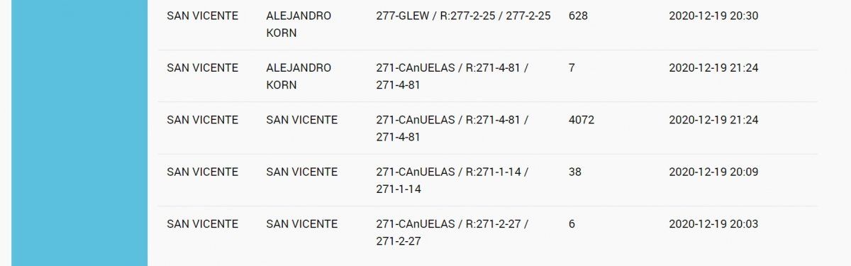 Masivo corte de luz en toda la regi&oacute;n