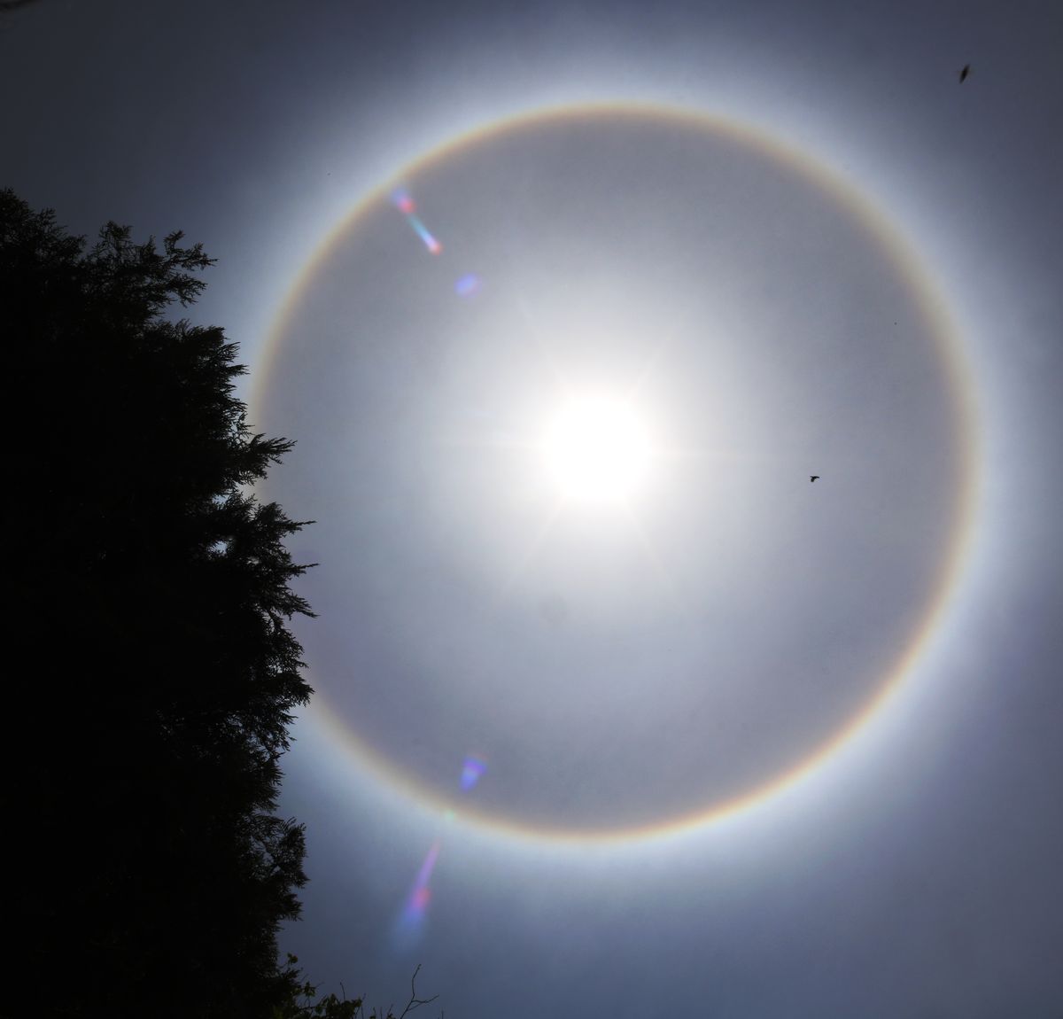 Un anillo alrededor del sol formando un halo solar sorprendió en el cielo del conurbano.