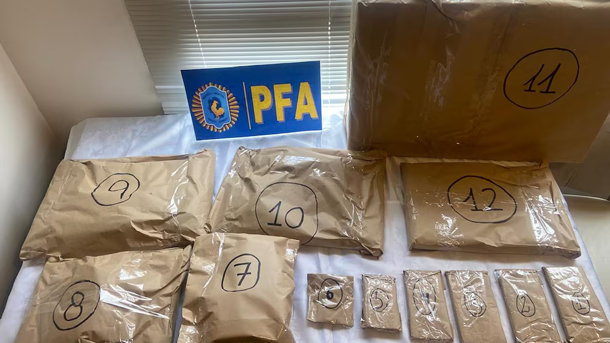 Se realizaron más de 100 allanamientos.