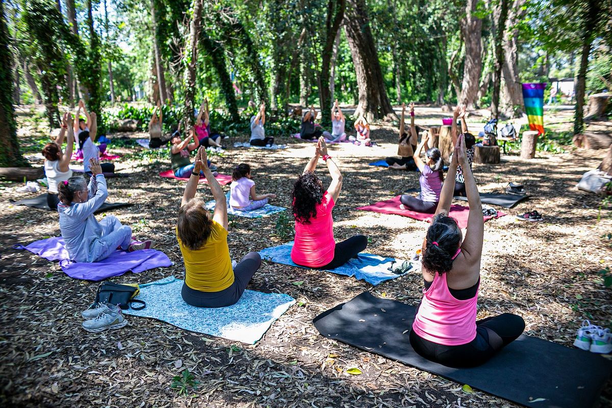 Las actividades buscan promover la actividad f&iacute;sica.