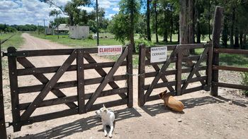 San Vicente: clausuraron un loteo clandestino donde también funcionaba una parrilla