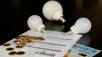 Tarifas de luz y gas: el gobierno informó en qué casos especiales se podrán mantener los subsidios
