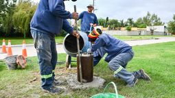 nuevos trabajos del area de servicios en san vicente y alejandro korn: en que zonas intervinieron