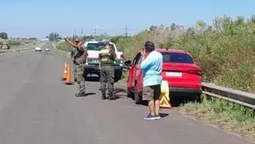 accidente en entre rios: un matrimonio de lomas de zamora atropello a un ciervo en la ruta