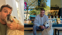 un vecino de monte grande organiza la mayor juntada de perros golden del mundo