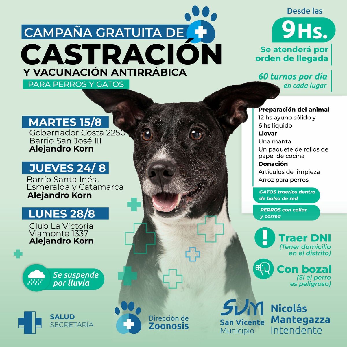 Realizarán un operativo gratuito de castración de mascotas en Alejandro Korn.