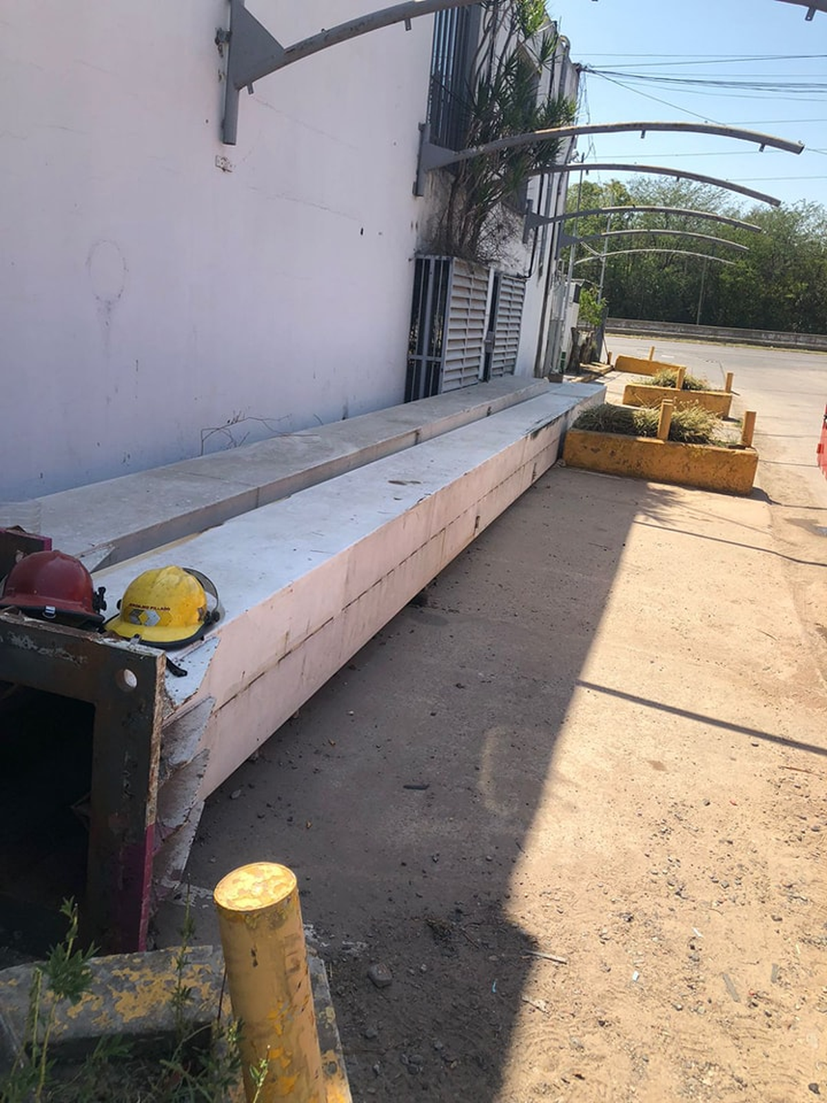 Los animales se encontraban dentro de un tubo de metal.