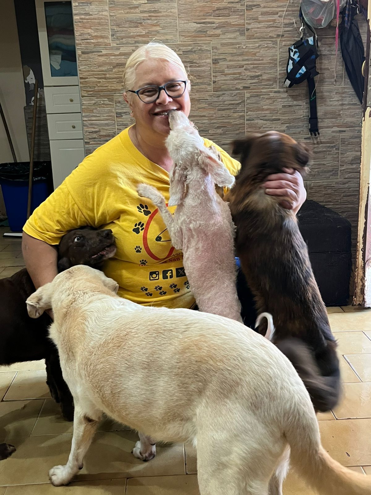Patricia, presidenta del refugio San Francisco de Asís, con parte de los perros rescatados por la organización de Lomas de Zamora. 