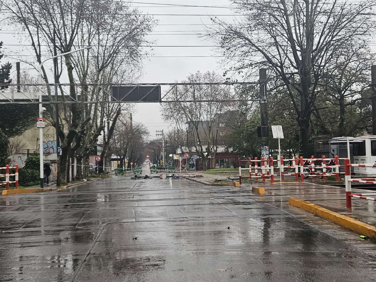 El poste se cayó sobre la calle Constanzo, en Monte Grande, a metros de las vías del tren. 