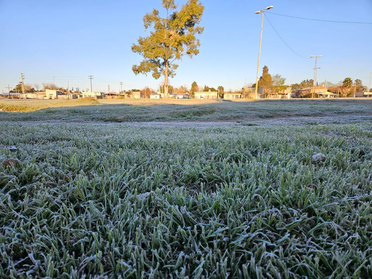 Durante estos d&iacute;as de temperaturas bajo cero los campos amanecieron de color blanco.
