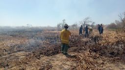 bomberos resaltaron la prevencion de los incendios forestales en canning: tuvimos menos trabajo