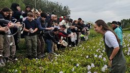 san vicente: aprobaron una ordenanza para prevenir la expansion de las plantas invasoras en la laguna