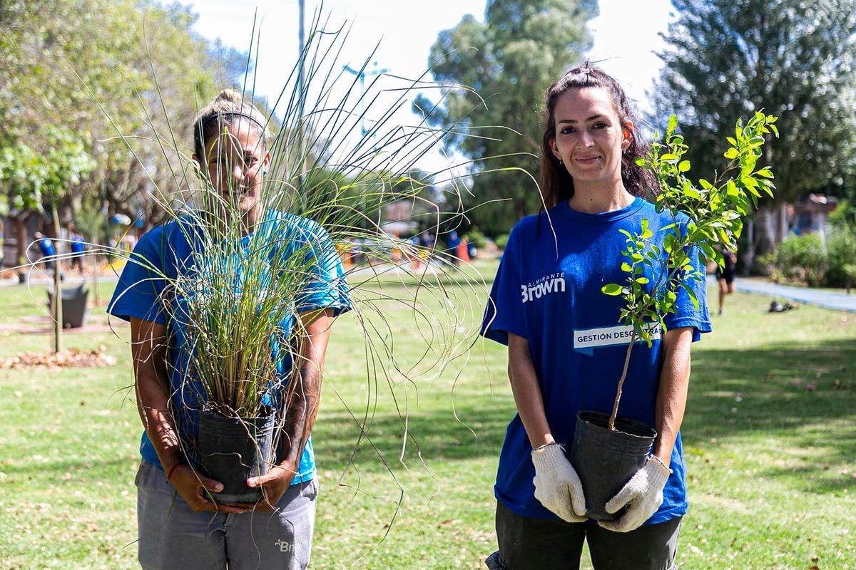 Hay plantas y árboles de diferentes especies en Almirante Brown. Hay plantas y árboles de diferentes especies en Almirante Brown.