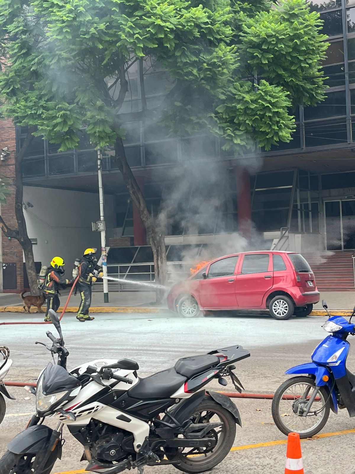 El fuego fue controlado en pocos minutos gracias a la rápida intervención de los bomberos y la situación no pasó a mayores.