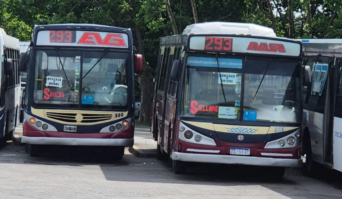 El nuevo ramal tendrá el mismo trayecto que el 293 S. El nuevo ramal tendrá el mismo trayecto que el 293 S.