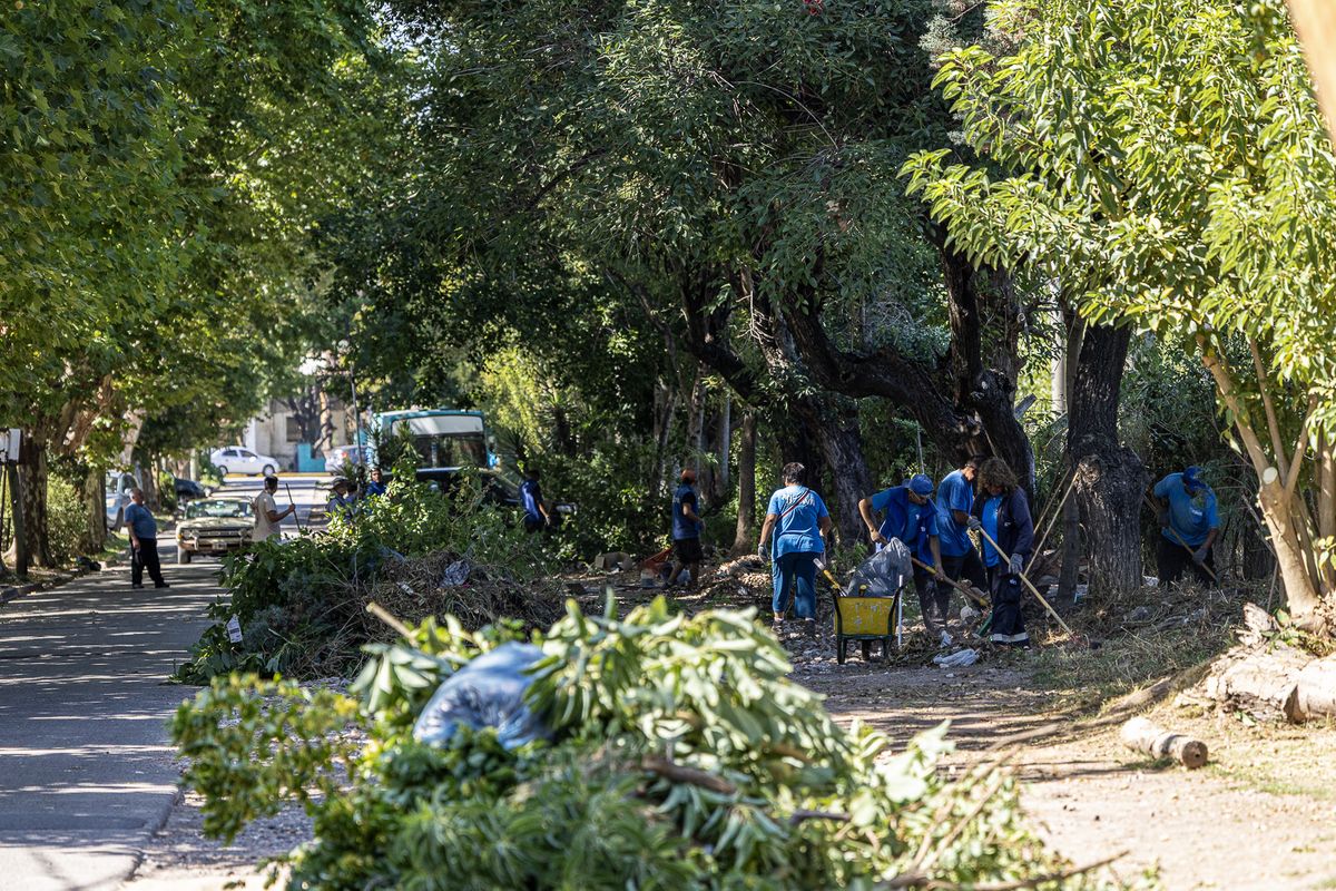 Los trabajos se realizaron en los últimos días. Los trabajos se realizaron en los últimos días.
