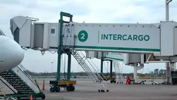 ezeiza: el gobierno impulsa la venta total de intercargo y abre el mercado de rampa