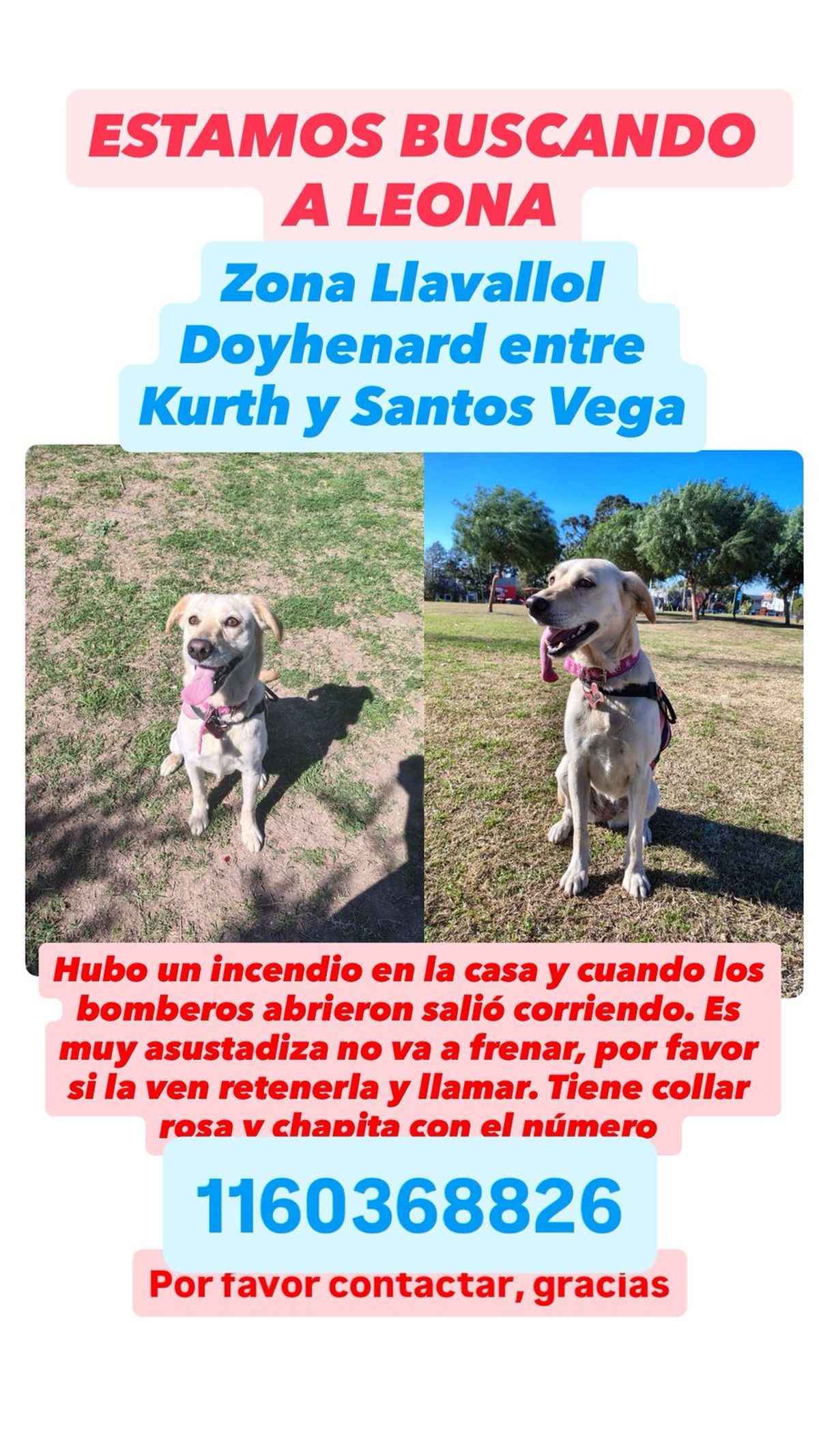 Según señaló la familia, vecinos la vieron por la zona de Camino de Cintura. 