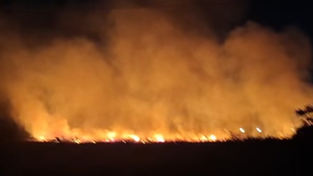 Ezeiza: incendio de pastizales cerca del Servicio Penitenciario Federal