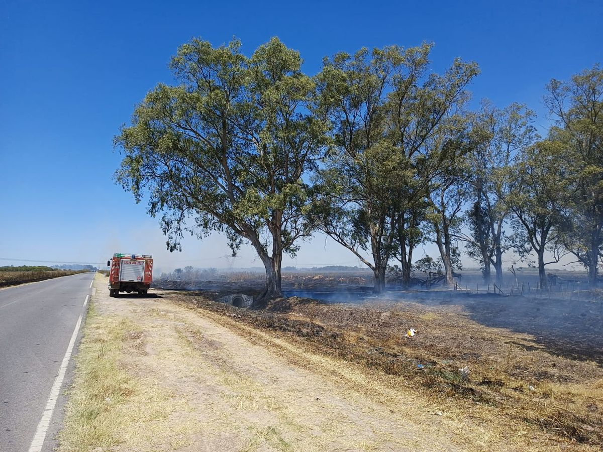 Bomberos de Guernica trabajan para controlar el incendio.