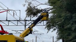 operativo de trenes argentinos en el jagüel por el arbol que cayo sobre la catenaria e interrumpio el servicio
