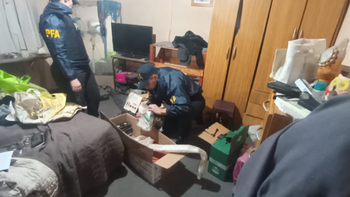 Desbarataron una peligrosa banda dedicada a realizar entraderas en Zona Sur