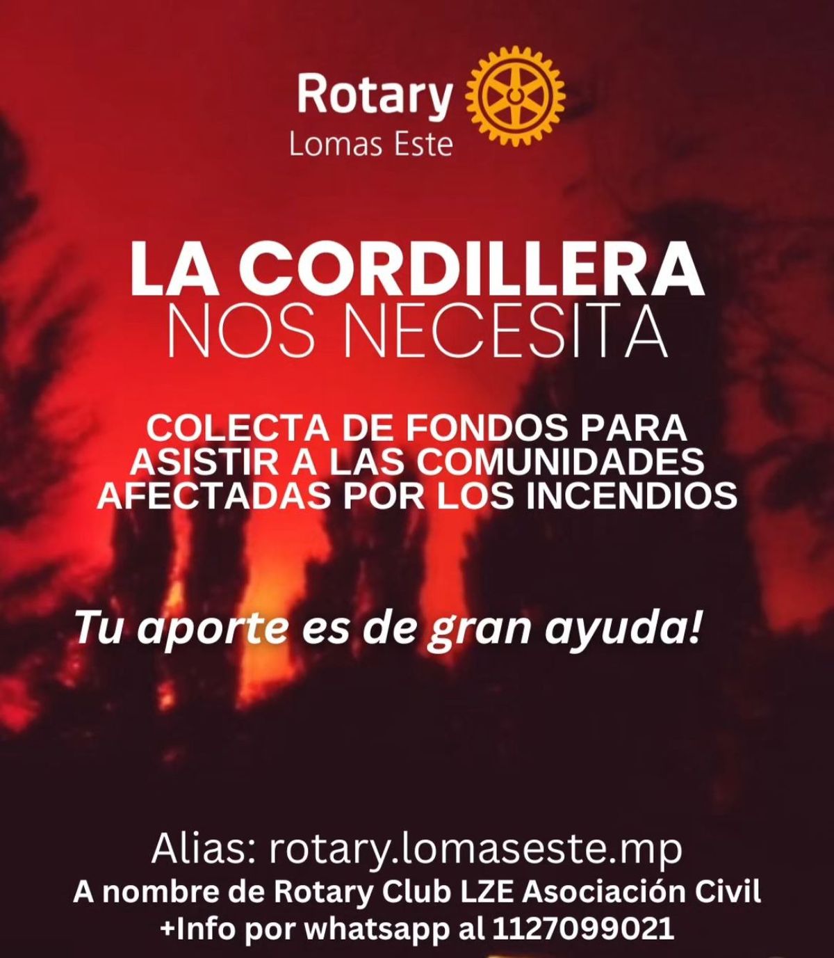 Flyer de la colecta impulsada por el Club Rotary Lomas Este, que lleva más de 300 mil pesos recaudados. 