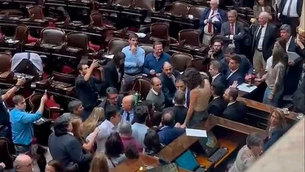 La sesión que derivó en una pelea entre dos diputados afines al oficialismo. 