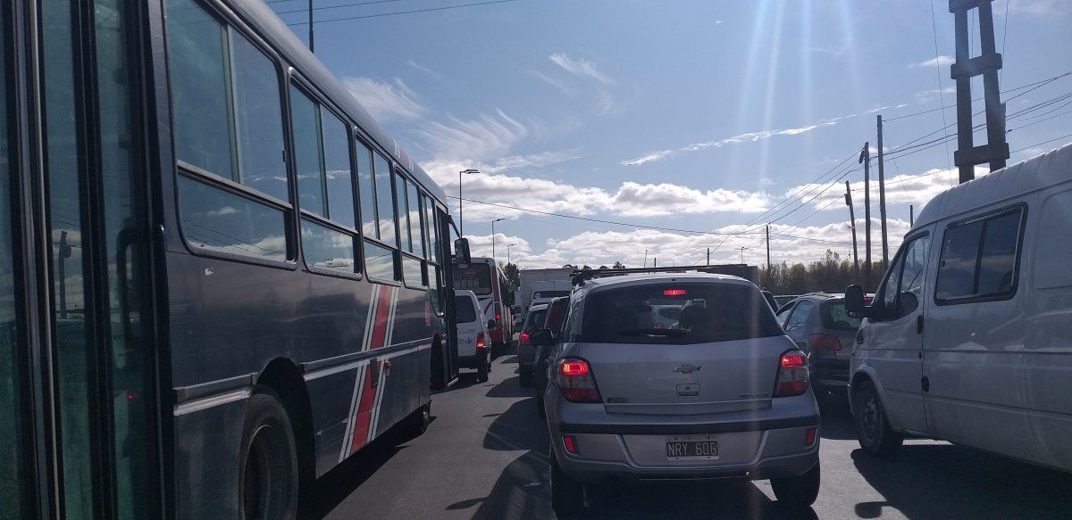 Los zorzales intentan escapar de los ruidos urbanos como los ruidos del tránsito.