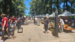 monte grande: escuelas especiales y centros de dia mostraron su trabajo inclusivo en una gran feria en campo amat