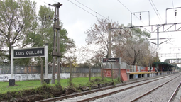 luis guillon: caida de ramas interrumpio el servicio del tren roca