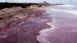 alerta por la presencia de aguas rojizas en las playas de mar del plata y necochea: que sucedio